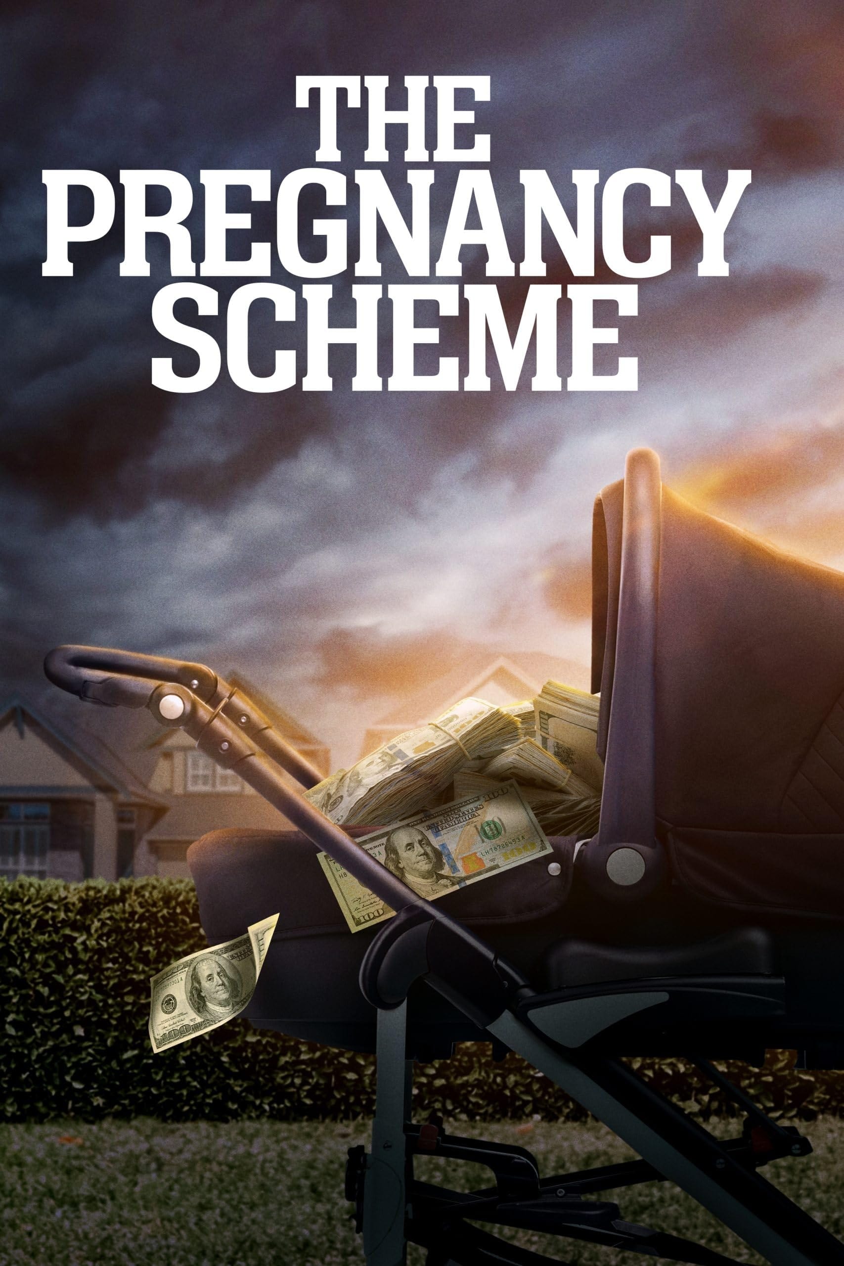 The Pregnancy Scheme